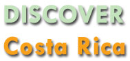 Learn Spanish on-line free
