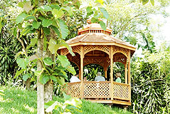 ICLC is the best Costa Rican Spanish School to study abroad.